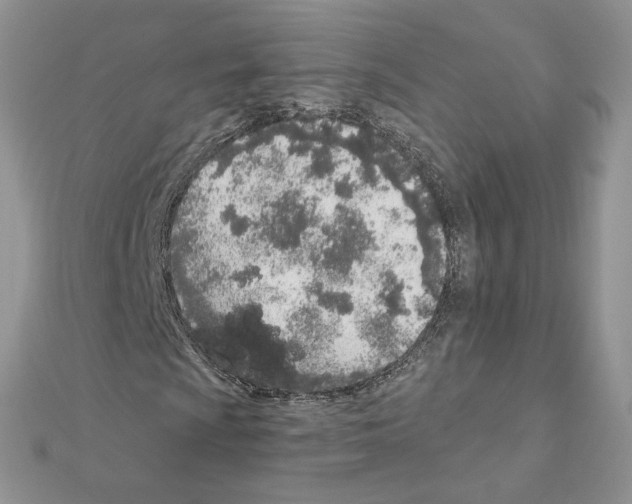 X0000110981009200907310945