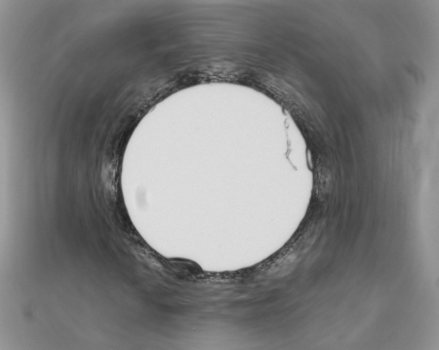 X0000110981010200907310945