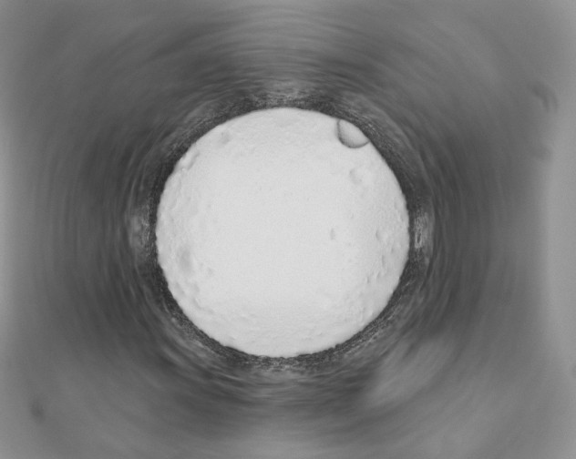 X0000110981011200907310945