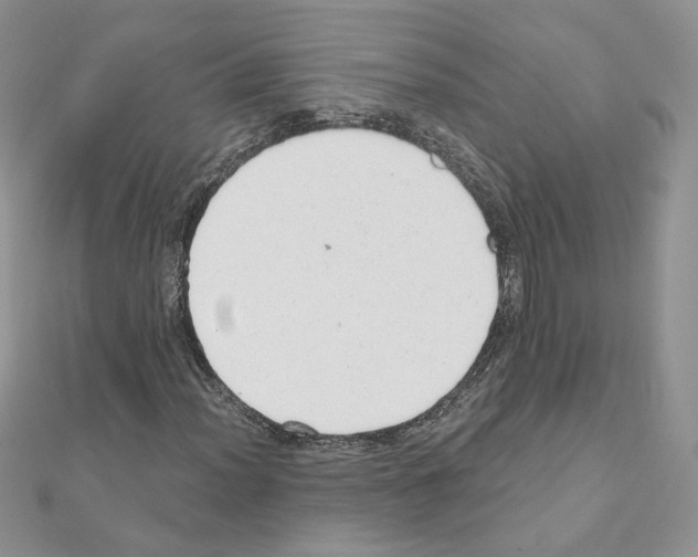 X0000110981012200907310945