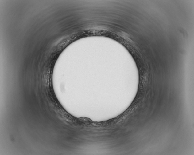 X0000110981014200907310945