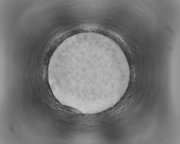 X0000110981016200907310945
