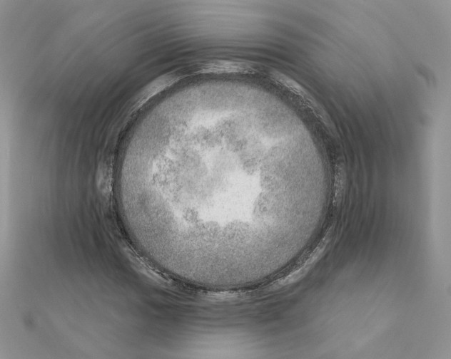 X0000110981017200907310945