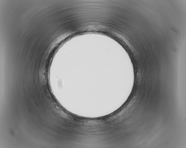 X0000110981018200907310945