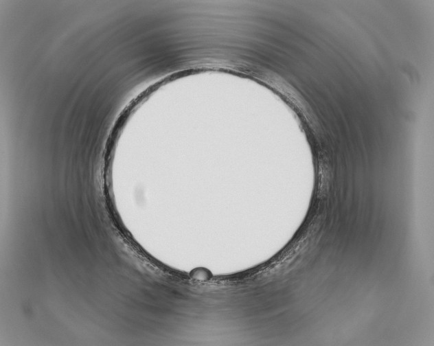 X0000110981020200907310945