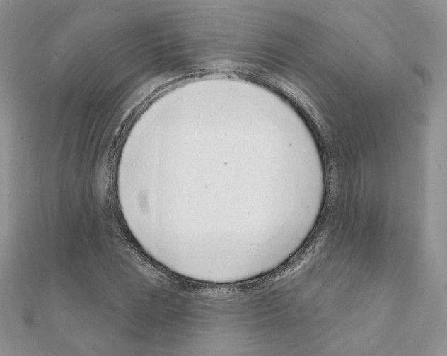 X0000110981023200907310945
