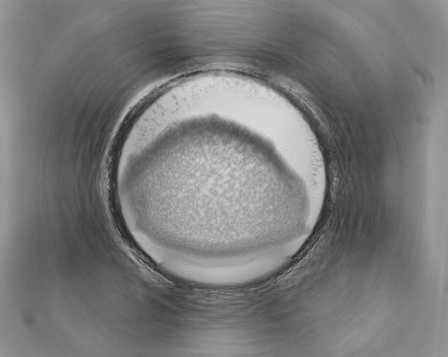 X0000110981024200907310945