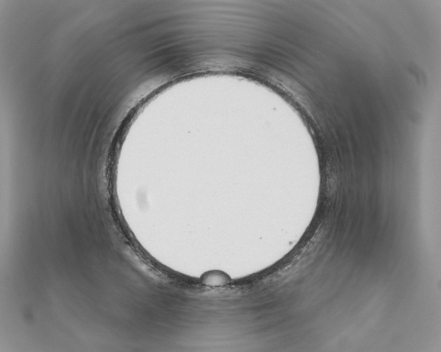X0000110981026200907310945