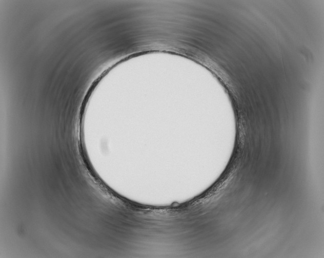 X0000110981028200907310945