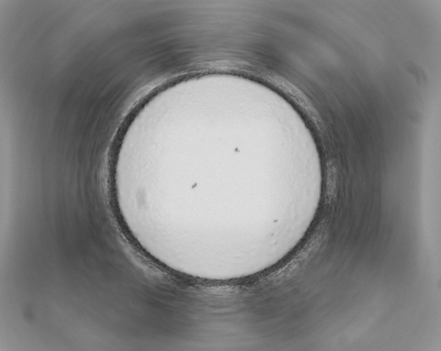 X0000110981031200907310945
