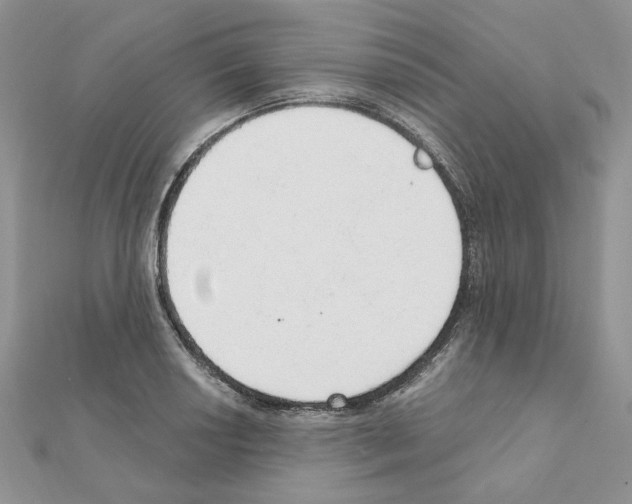 X0000110981034200907310945