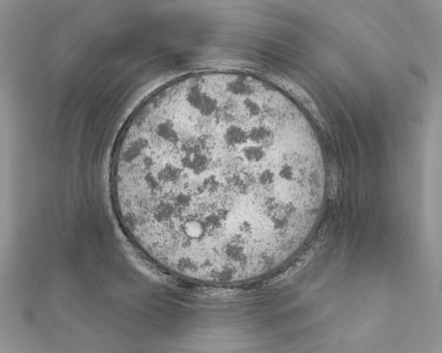 X0000110981039200907310945