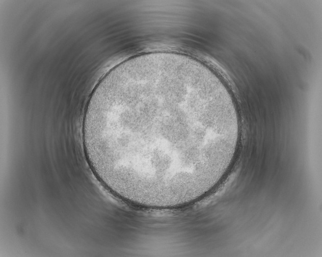 X0000110981041200907310945