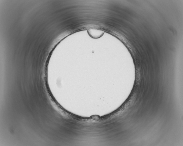 X0000110981042200907310945