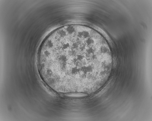 X0000110981043200907310945