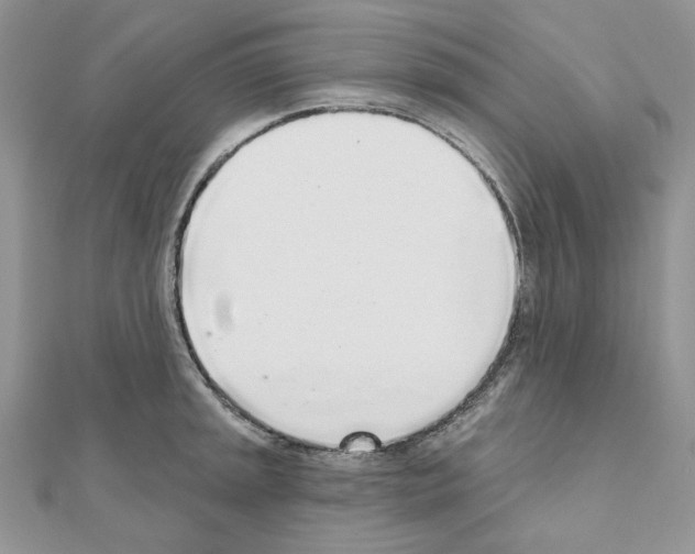 X0000110981045200907310945
