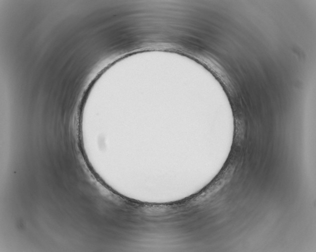 X0000110981046200907310945