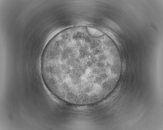 X0000110981047200907310945
