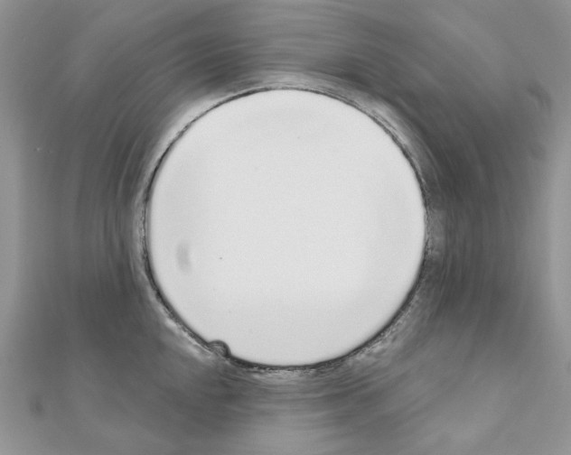 X0000110981048200907310945