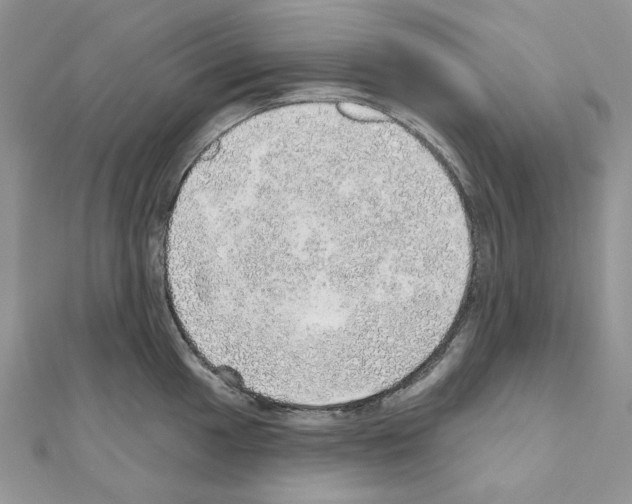 X0000110981049200907310945