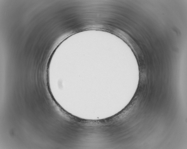 X0000110981050200907310945
