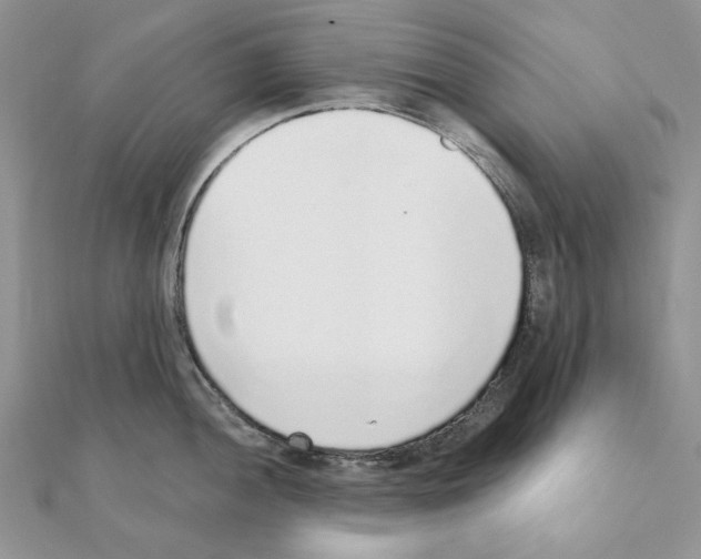 X0000110981052200907310945