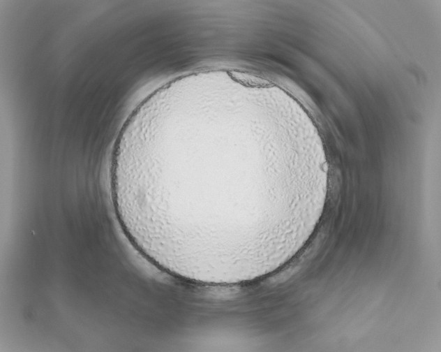 X0000110981055200907310945