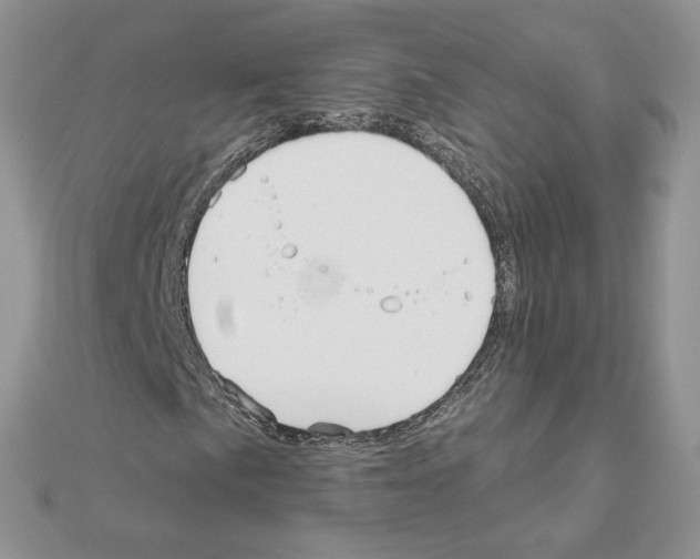 X0000110981057200907310945