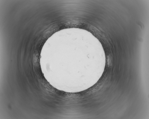 X0000110981059200907310945