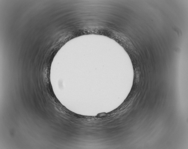 X0000110981060200907310945
