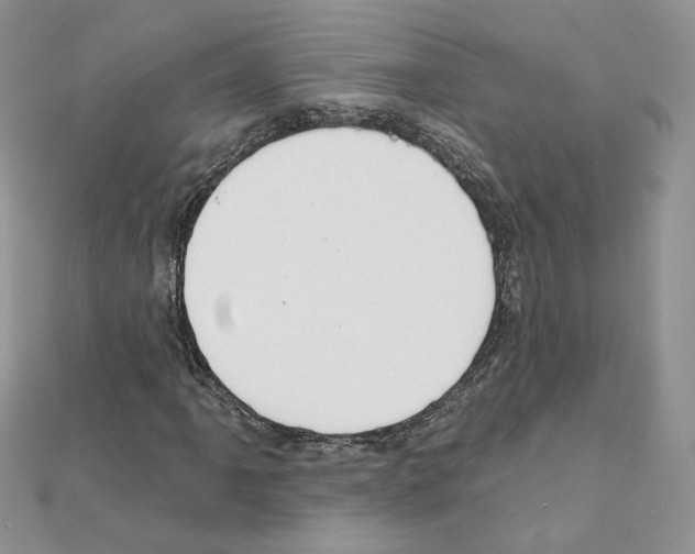 X0000110981061200907310945