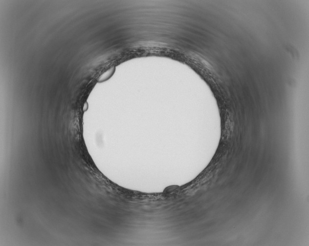 X0000110981062200907310945
