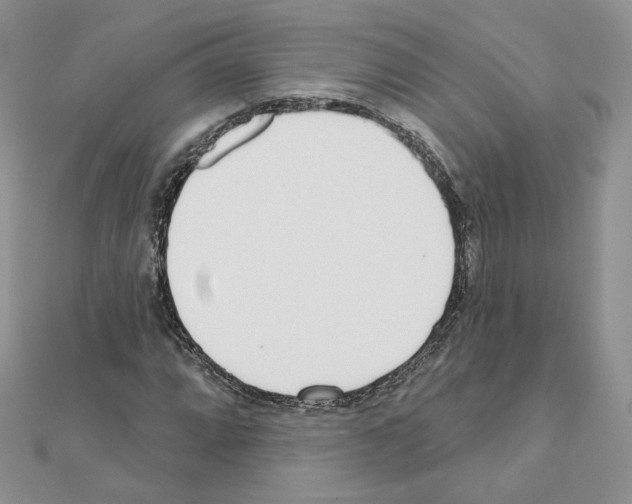 X0000110981064200907310945