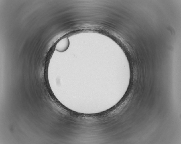 X0000110981066200907310945