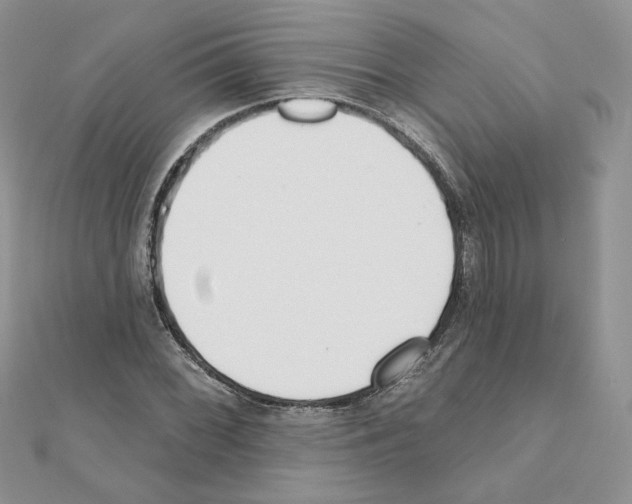 X0000110981068200907310945