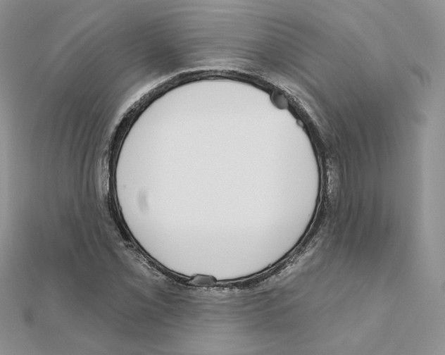 X0000110981069200907310945
