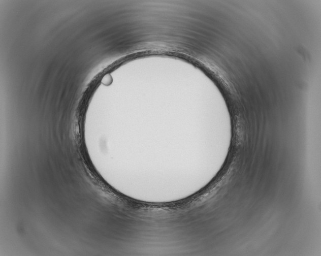 X0000110981070200907310945
