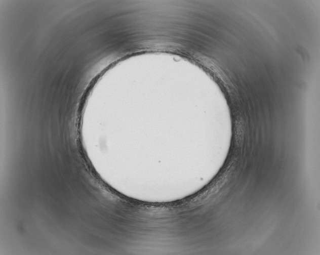 X0000110981071200907310945