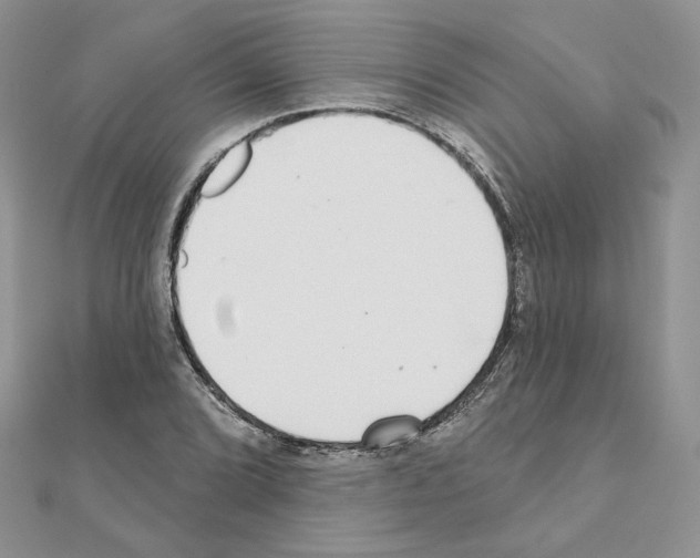 X0000110981072200907310945