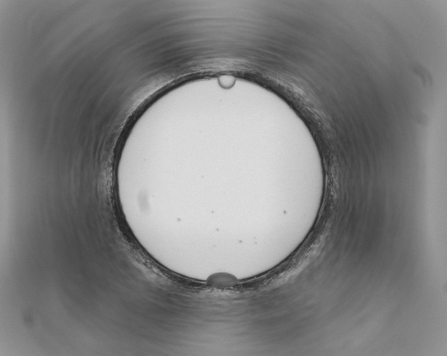X0000110981073200907310945