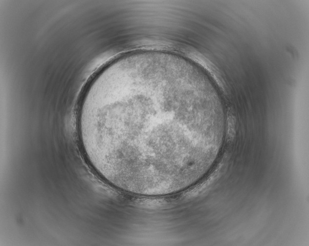 X0000110981074200907310945
