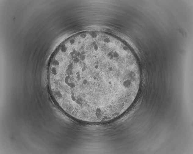 X0000110981075200907310945