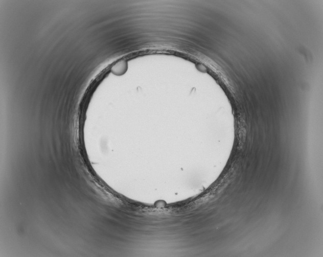 X0000110981076200907310945