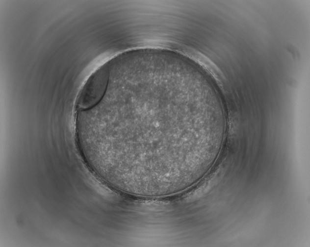 X0000110981077200907310945