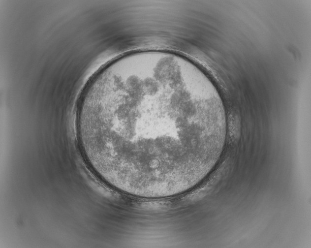 X0000110981078200907310945