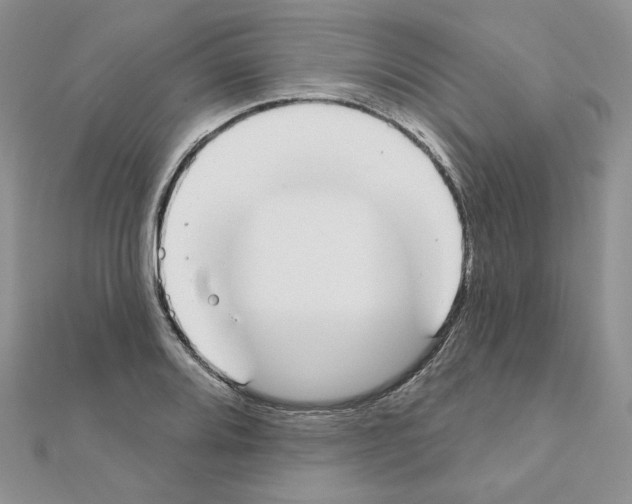 X0000110981080200907310944