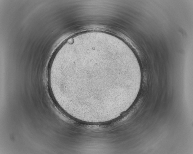 X0000110981082200907310944
