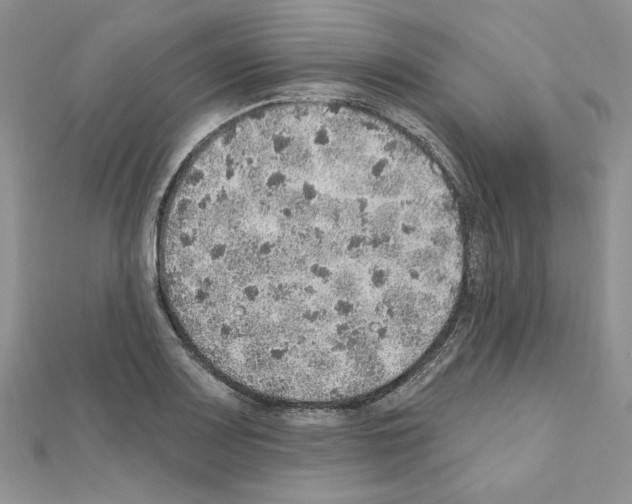 X0000110981083200907310944