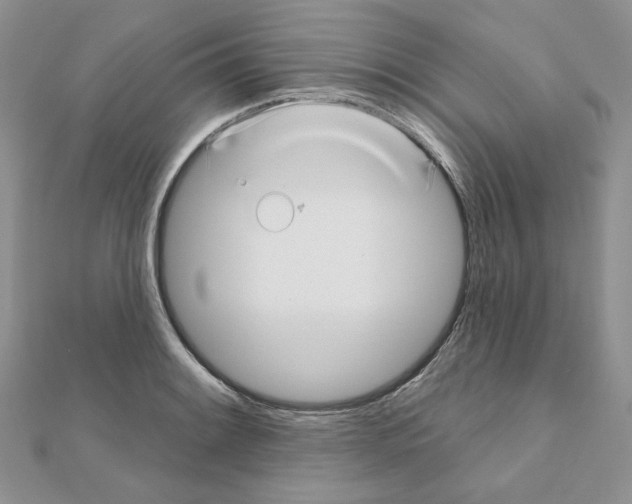 X0000110981084200907310944