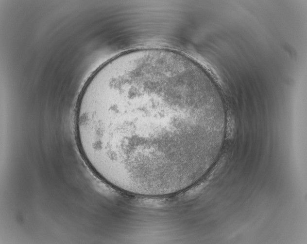X0000110981086200907310944